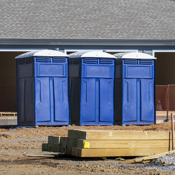 how often are the porta potties cleaned and serviced during a rental period in Allegany NY